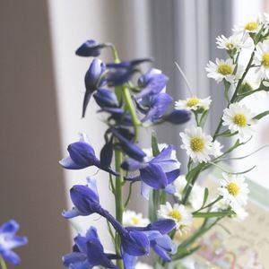 Meet your Posher, Kimberly blair